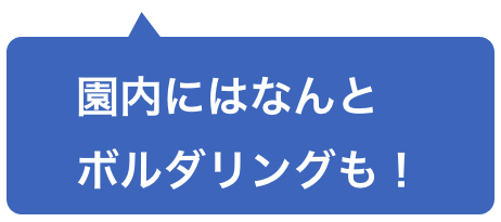 園内にはなんとボルダリングも