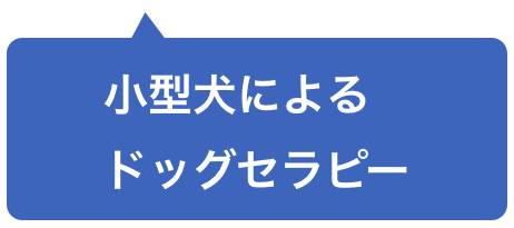 小型犬によるドッグセラピー